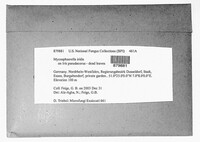 Image Associated With the Occurence